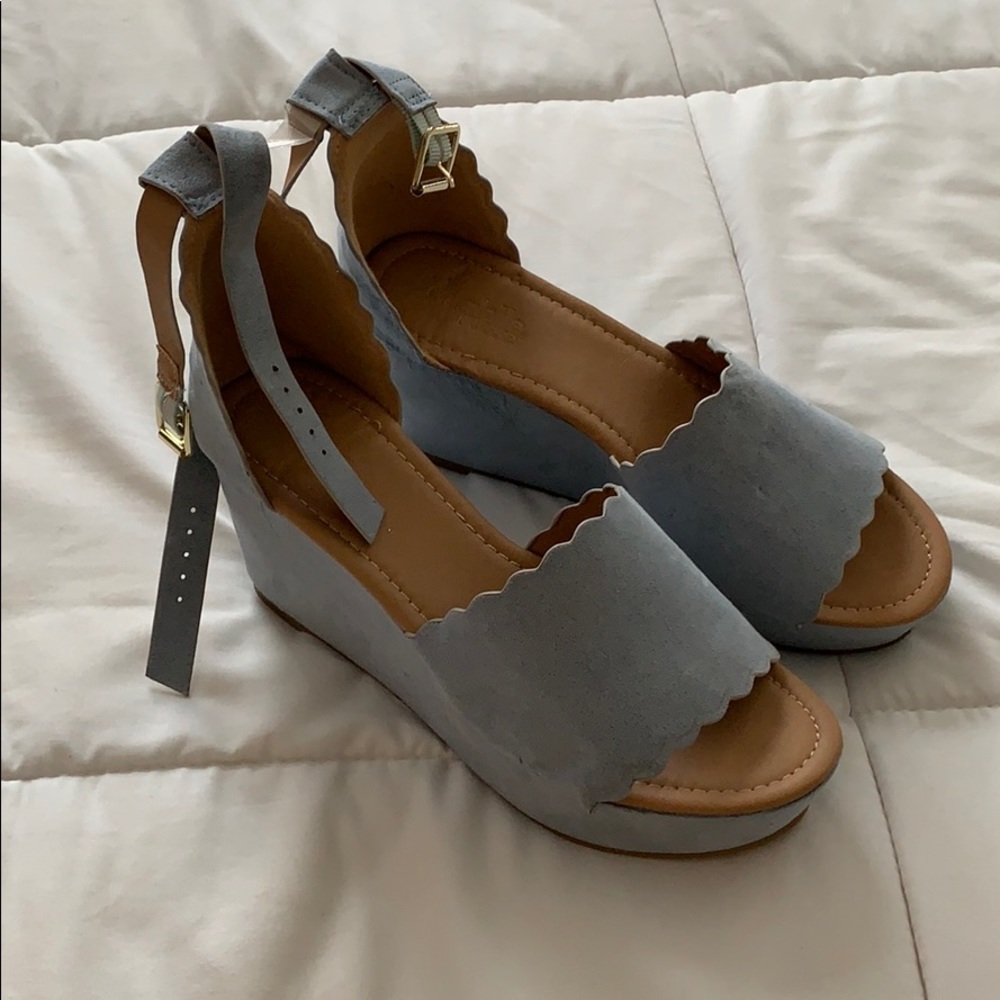 Blue Platform Wedges